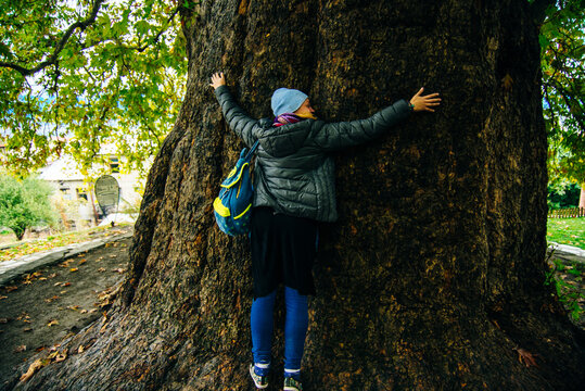 Telavi, Georgia - girl hugs a huge tree. Kakheti region. Georgia
