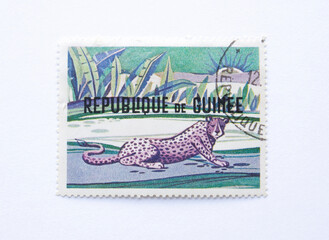Guinea Republic Postage Stamp. circa 1968. lying jaguar