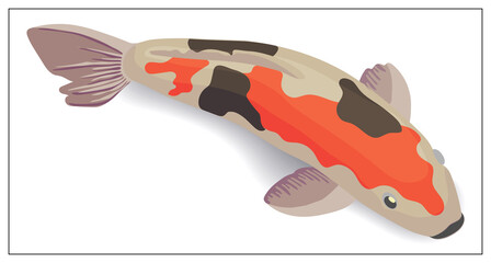 Red and gold koi fishes vector design elements. Illustration for web design, logo, icon, app, UI