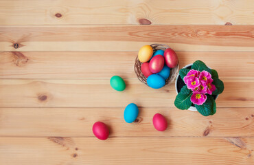 Colorful easter eggs and primula flower on wooden table. Top view.