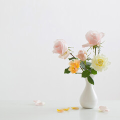 pink roses in white vase on white background