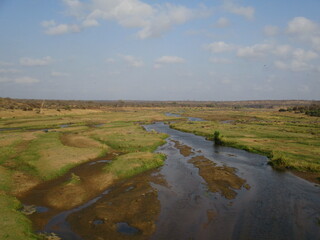 sabana
