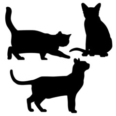 Katzen Silhouetten