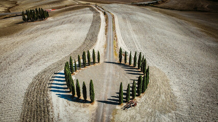 Toscana - Cipressi
