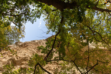 Autumn nature walks along a mountain canyon on a warm autumn day, along a difficult route.