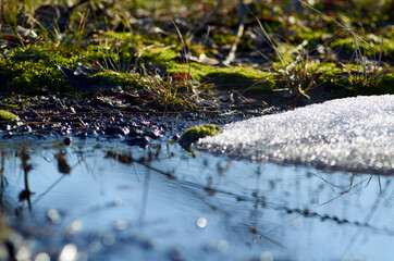Green moss, grass, snow and water
