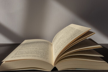 Open book on a blank background. Blank Background for text. Empty space for text.