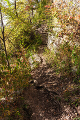 Autumn nature walks along a mountain canyon on a warm autumn day, along a difficult route.