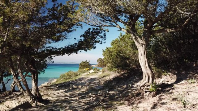 Sardegna (Golfo Aranci)