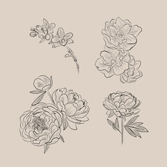 flowers and the moon in line style for tattoo, minimalist design cosmetics store, jewelry handmade, beauty salon, spa, print on clothes, delicate nude color