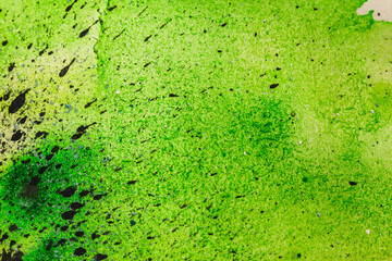 abstract oil paint texture on canvas, background