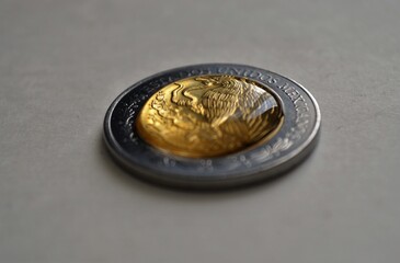 moneda 
