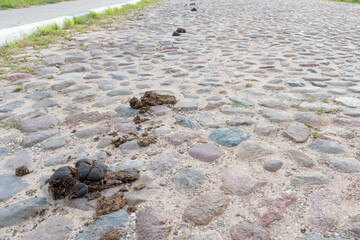 A pile of horse droppings is lying on the road. A horse shat on the paving stones. natural fertilizer. Eco-friendly agriculture.