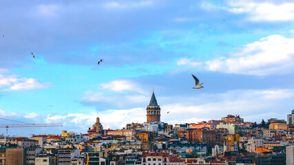 Galata Tower and Seagulls. Galata Tower background photo. Istanbul background photo. Travel to Istanbul. Landmarks of Istanbul.