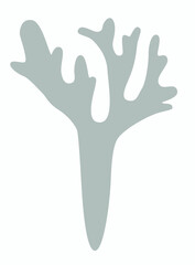 Obraz premium One sprig of Moss, lichen or reindeer moss Iceland moss logo, or icon on white background