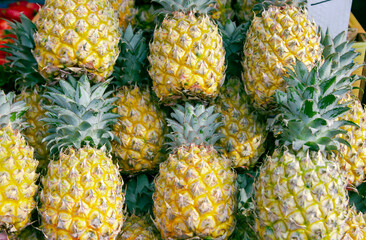 A lot of fresh yellow ripe pineapples are tropical fruit that are rich in vitamins, fresh pineapples for sale in supermarket in Israel