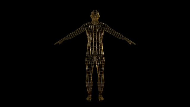 3d render of human body made of golden wire, rotating camera