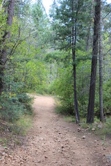 Hiking trail