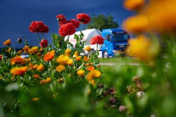 Verkehr und Umwelt – Tanklastwagen zwischen bunten Blumen bei dramatischer Wetterstimmung, aufziehendem Gewitter - obrazy, fototapety, plakaty