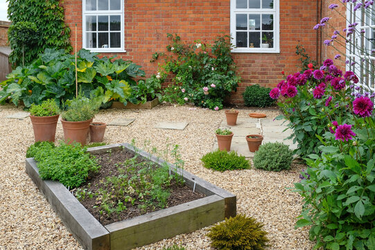 Landscaped courtyard garden with raised beds, UK
