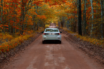 Plakat Beautiful road in the Autumn