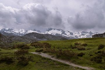 Fototapeta premium Picos de Europa, Spain, May 24, 2018: In an environment where the green surrounds us we have the mountain magnifying the horizon.