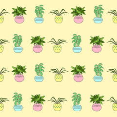 Houseplants in pots. Seamless pattern. Creative flower shop decoration design or flower wrapping paper design. Vector