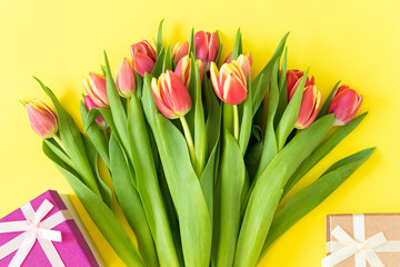 spring flowers a bouquet of pink and yellow tulip with gifts on a yellow background. Congratulations on March 8, birthday, mother's Day. Soft focus. Flatly.