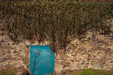 A blue metal door and a stone wall of an ancient castle. secret exit from the antique building, stone gray wall covered with ivy