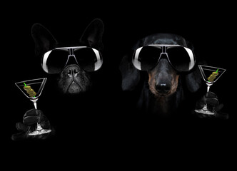 chien cocktail martini dans une ambiance noir foncé