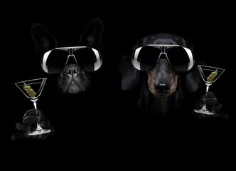 Papier Peint photo Chien fou chien cocktail martini dans une ambiance noir foncé