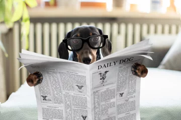 Deurstickers Grappige hond hond leest krant