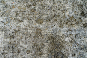 abstract brutal background made of dark gray concrete, textured background for design and decoration