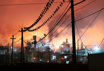 Chemical plant for the production of petrochemical products, manufacturer of ethylene glycol (EG). Black birds on wires. Night shooting. Smoke plant, flaming torch, pipes, lights 