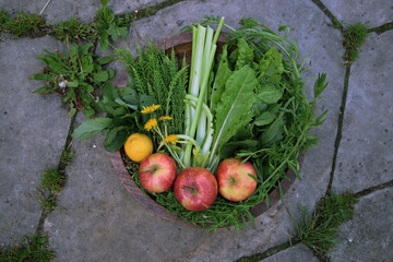 warzywa na tacy,  zdrowe nowalijki, zielony sok, mlecz, dieta, zdrowie, kwiat,