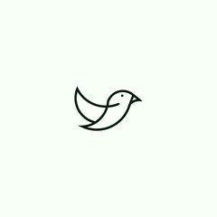 bird logo design vector graphics illustration
