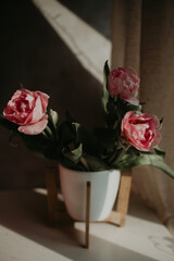 Composition of pink tulips on a blue background in a stylish hard light from the sun by the window of the house. Bouquet of spring flowers, still life.
