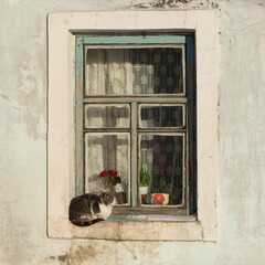 Sleeping cat on the window