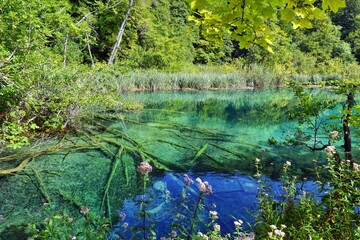 Famous Croatian National Park Plitvice lakes. Incredible blue color of water in karst lakes