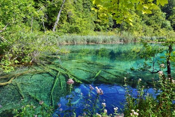 Famous Croatian National Park Plitvice lakes. Incredible blue color of water in karst lakes