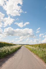 Fototapeta premium Road to the sky