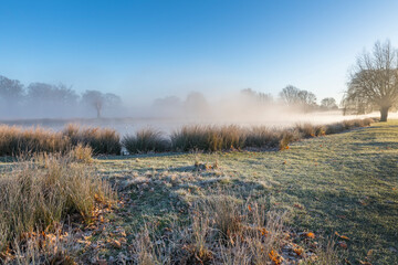 Sun mist and frost