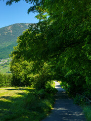 Landscape along the Sentiero della Valtellina, Italy, from the cycleway