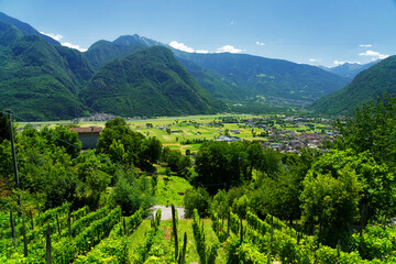 Panoramic view of Valtellina from Ardenno at summer