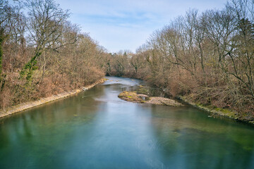 river in the forest