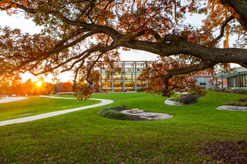 Fall Colors on Campus