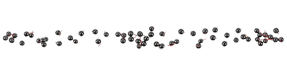 Elderberries isolated on a white background, top view. Healing product.