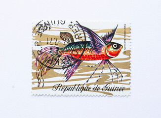 Guinea Republic Postage Stamp. circa 1971. pantodon buchholzi.  African Butterfly Fish