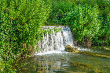 Fototapeta na wymiar Waterfall in forest. River banks overgrown by solid wall of green bushes and trees
