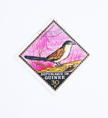 Republique de guinee - circa 1976: a stamp printed in republique de guinee shows image of birds, series, centropus monachus. Blue-headed coucal